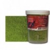 Prince August - FX015 Flocage Vert Clair