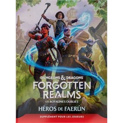 Donjons & Dragons 5 : Héros...
