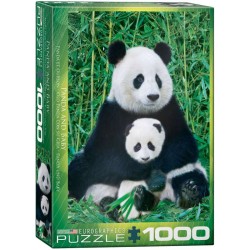 Puzzle 1000 pièces : Panda...